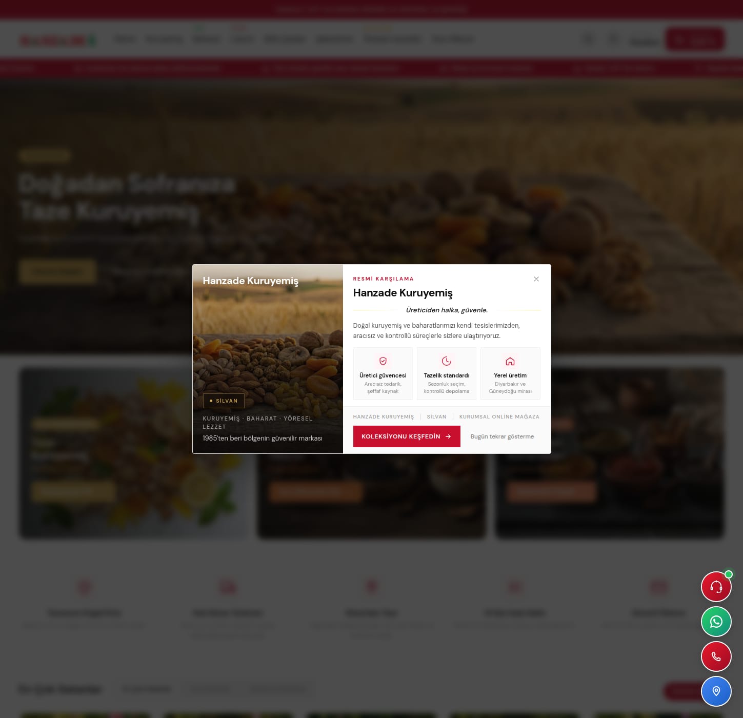 Hanzade Kuruyemiş e-ticaret